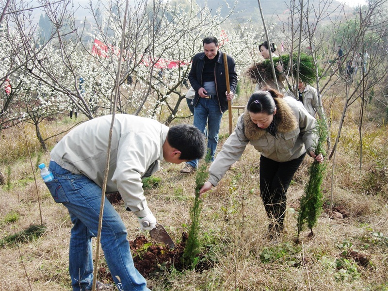 10 2010年3月10日，万州厂、物流中心、财务室、技术中心一行24人在万州五桥道民强村种下了700棵柏树.JPG
